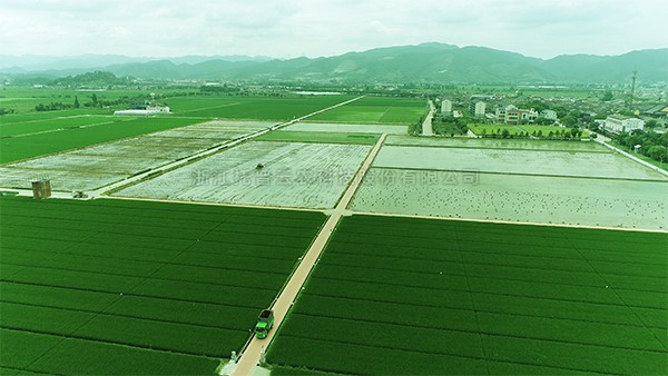 打造高標(biāo)準(zhǔn)農(nóng)田建設(shè)古林樣板 夯實(shí)寧波現(xiàn)代農(nóng)業(yè)發(fā)展基礎(chǔ)