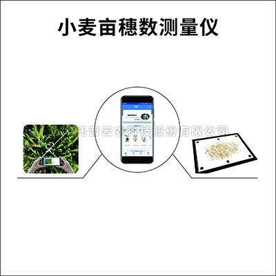小麥畝穗數(shù)測量系統(tǒng)TPMS-1/TPMS-2