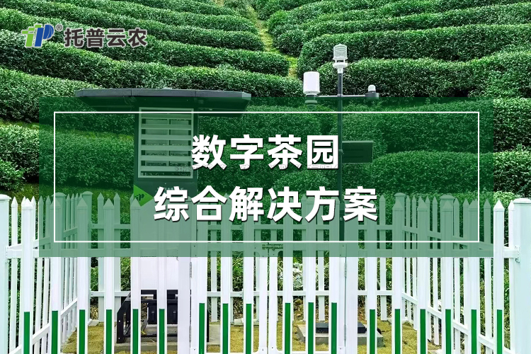 數(shù)字茶園綜合解決方案