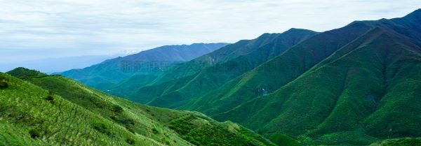 智慧護(hù)林有妙招，看太子山如何用科技守護(hù)森林