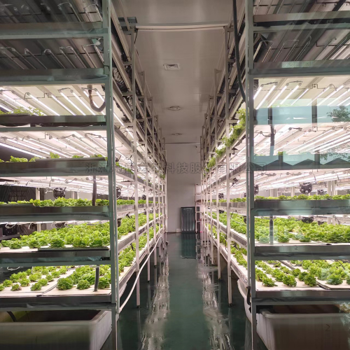 植物組培室/