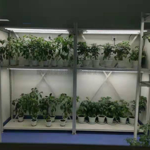 植物病理研究室 /