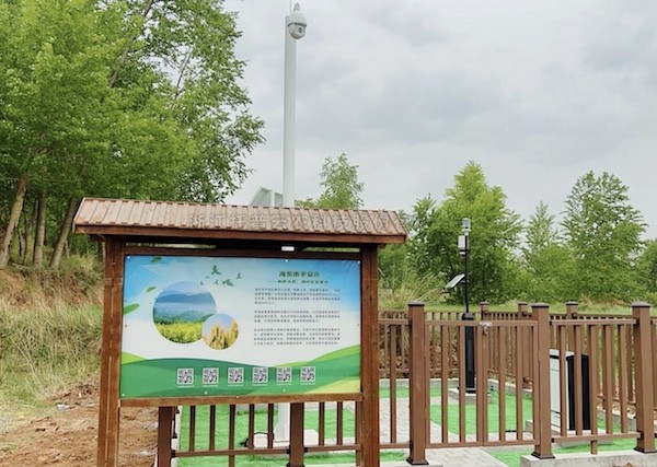 走進(jìn)國家級油菜夏繁基地，感受科技賦能蓬勃動力