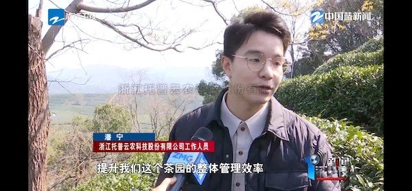春茶開(kāi)采正當(dāng)時(shí)！揭秘托普云農(nóng)如何用科技“制”出一杯數(shù)字好茶