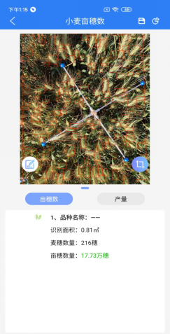 小麥畝穗數(shù)測量系統(tǒng)計算結(jié)果