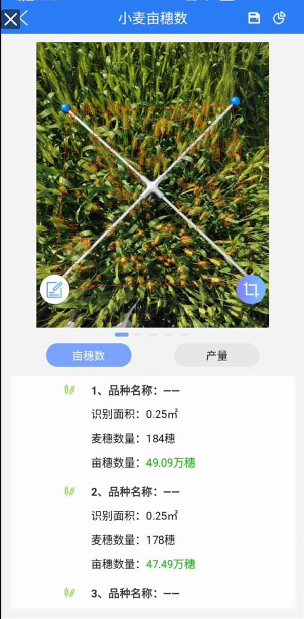小麥畝穗數(shù)測量系統(tǒng) 小麥畝穗數(shù)測量系統(tǒng)