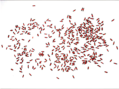 1、水稻表型檢測系統(tǒng)-水稻數(shù)粒圖.png
