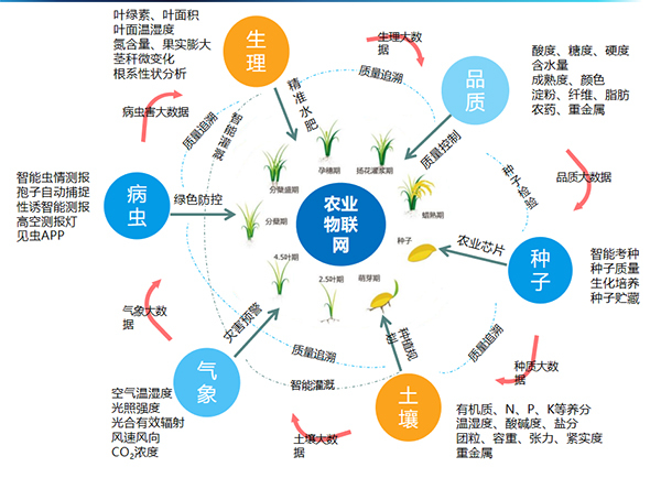 托普云農(nóng)打造的全要素智能采集系統(tǒng) 托普云農(nóng)打造的全要素智能采集系統(tǒng)