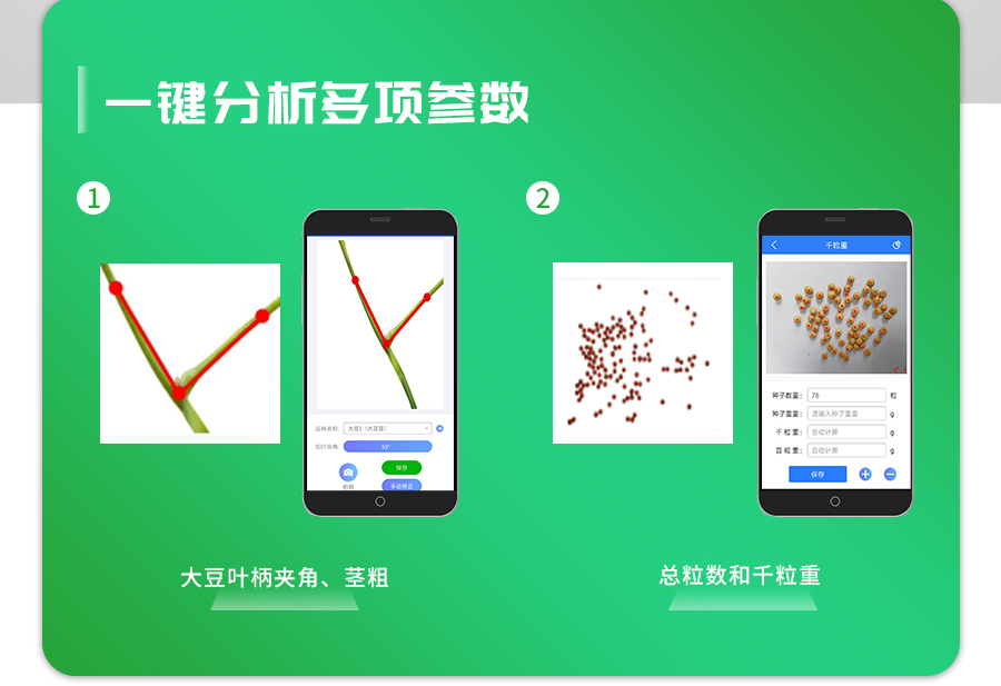 大豆表型檢測(cè)儀 大豆表型檢測(cè)儀