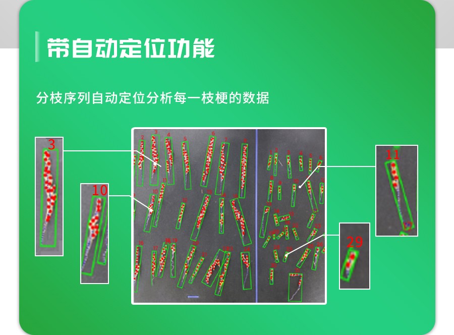 水稻整穗考種測(cè)量系統(tǒng)
