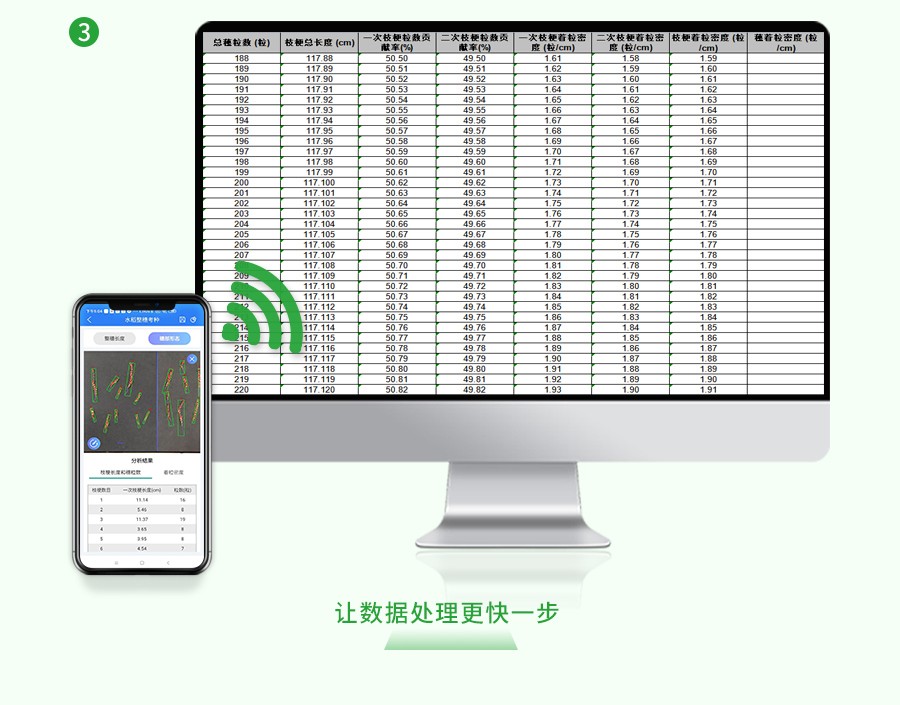 水稻整穗考種測(cè)量系統(tǒng)
