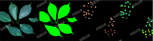 1722995310993469.jpg 高光譜植物數(shù)字采集分析系統(tǒng)-1.jpg