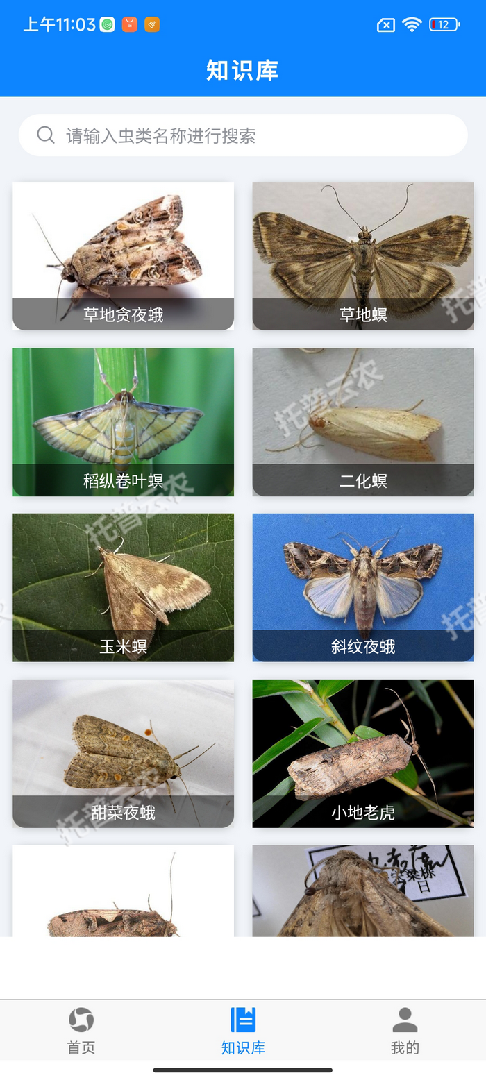 5、害蟲(chóng)知識(shí)庫(kù).png