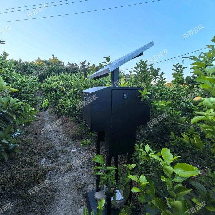 智能蚜蟲測報系統(tǒng)（場景圖）.jpg