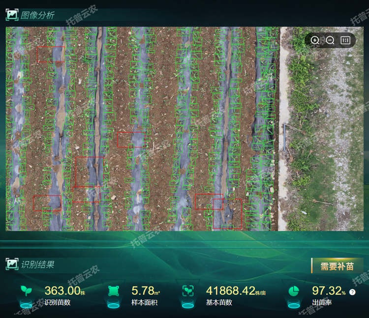 出，苗率.png
